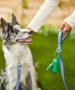 Frisco Traffic Leash with Padded Handles & Poop Bag Dispenser, Blue, Length: 6ft, Width: 1-in + Refill Dog Poop Bags, Scented, 120 count 15 Frisco Traffic Leash with Padded Handles & Poop Bag Dispenser, Blue, Length: 6ft, Width: 1-in + Refill Dog Poop Bags, Scented, 120 count -The Frisco Store 319516 PT4. SY630 V1630624598