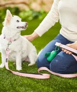 Frisco Traffic Leash with Padded Handles & Poop Bag Dispenser, Pink, Length: 4-ft, Width: 1-in + Refill Dog Poop Bags, Scented, 120 count 15 Frisco Traffic Leash with Padded Handles & Poop Bag Dispenser, Pink, Length: 4-ft, Width: 1-in + Refill Dog Poop Bags, Scented, 120 count -The Frisco Store 319518 PT4. SY630 V1630617099