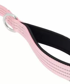 Frisco Traffic Leash with Padded Handles & Poop Bag Dispenser, Pink, Length: 6ft, Width: 1-in + Refill Dog Poop Bags, Scented, 120 count -The Frisco Store 319520 PT3. SY630 V1630626976