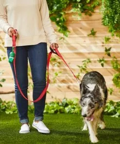 Frisco Traffic Leash with Padded Handles & Poop Bag Dispenser, Red, Length: 6ft, Width: 1-in + Refill Dog Poop Bags, Scented, 120 count -The Frisco Store 319524 PT4. SY630 V1630621912