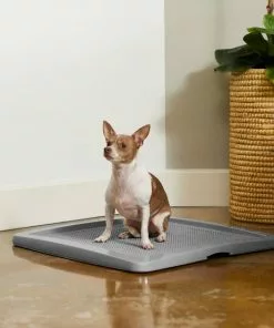 Frisco Training Pad Holder, 24-in x 24-in + Dog Training & Potty Pads, 22 x 23-in, 100 count, Unscented -The Frisco Store 319526 PT4. SY630 V1630624305