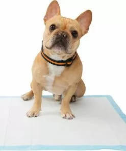 Frisco Training Pad Holder, 24-in x 24-in + Dog Training & Potty Pads, 22 x 23-in, 100 count, Unscented -The Frisco Store 319526 PT8. SY630 V1630628180