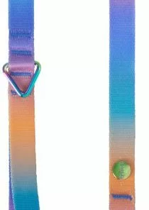 Frisco Purple Ombre Style Dog Leash -The Frisco Store 324514 PT1. SY630 V1642519600