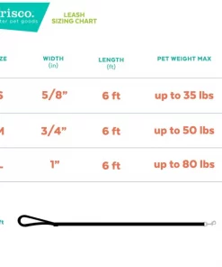 Frisco Purple Ombre Style Dog Leash -The Frisco Store 324514 PT2. SY630 V1642518892