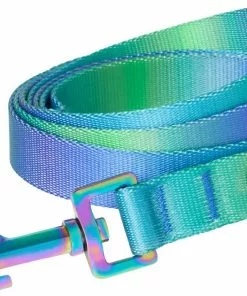 Frisco Green Ombre Style Dog Leash