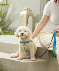 Frisco Green Ombre Style Dog Leash -The Frisco Store 324518 PT4. SY630 V1642518628