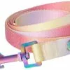 Frisco Pink Ombre Style Dog Leash