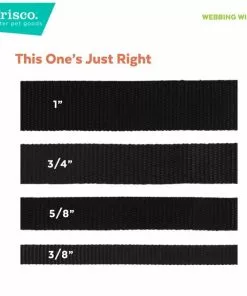 Frisco Pink Ombre Style Dog Leash -The Frisco Store 324523 PT3. SY630 V1642518221