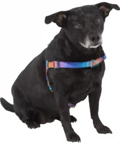 Frisco Purple Ombre Style Dog Harness -The Frisco Store 324526 PT2. SY630 V1642519692