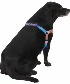 Frisco Purple Ombre Style Dog Harness -The Frisco Store 324526 PT3. SY630 V1642519104