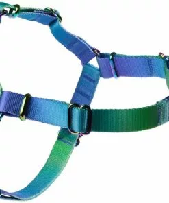 Frisco Green Ombre Style Dog Harness