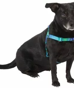 Frisco Green Ombre Style Dog Harness 9 Frisco Green Ombre Style Dog Harness -The Frisco Store 324531 PT2. SY630 V1642519055