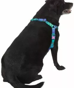 Frisco Green Ombre Style Dog Harness 10 Frisco Green Ombre Style Dog Harness -The Frisco Store 324531 PT3. SY630 V1642518631