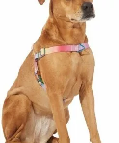 Frisco Pink Ombre Style Dog Harness -The Frisco Store 324536 PT2. SY630 V1642518223