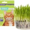 Frisco Natural Cat Grass Growing Kit -The Frisco Store 325885 MAIN. SY630 V1641330988