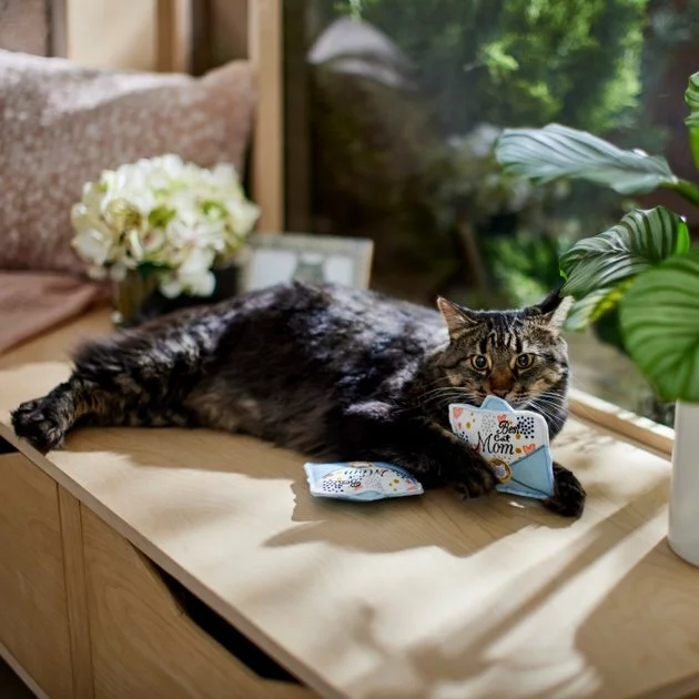 Frisco Mother's Day Card Felt Cat Toy with Catnip, 2 count 6 Frisco Mother's Day Card Felt Cat Toy with Catnip, 2 count - Image 4