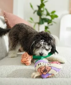 Frisco Mother's Day Rose & Heart Plush Squeaky Dog Toy, 2 count -The Frisco Store 327033 PT3. SY630 V1646947953