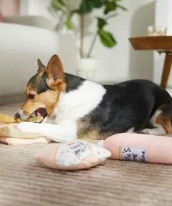 Frisco Mother's Day Gifts Plush Squeaky Dog Toy, 3 count 7 Frisco Mother's Day Gifts Plush Squeaky Dog Toy, 3 count -The Frisco Store 327035 PT3. SY630 V1646947993