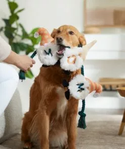 Frisco Mother's Day Gnomes Plush with Rope Squeaky Dog Toy -The Frisco Store 327037 PT3. SY630 V1646948102