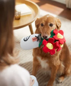 Frisco Mother's Day Mason Jar Flower Blooms Plush Squeaky Dog Toy -The Frisco Store 327039 PT3. SY630 V1646947919