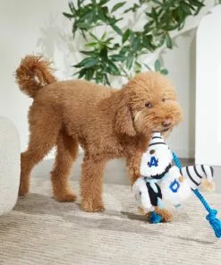 Frisco Dad Gnome Plush with Rope Dog Toy -The Frisco Store 327053 PT3. SY630 V1648667286