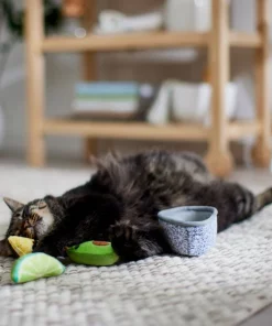 Frisco Guacamole Bowl Cat Toy with Catnip, Medium, 4 count -The Frisco Store 327059 PT3. SY630 V1645205519