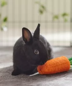 Frisco Small Pet Carrot Loofah Chew Toy -The Frisco Store 330873 PT2. SY630 V1647530171