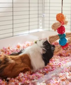 Frisco Small Pet Hanging Ball & Grass Chew Toy -The Frisco Store 330879 PT3. SY630 V1647530212