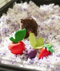 Frisco Small Pet Wooden Fruit Assortment Chew Toy -The Frisco Store 330883 PT2. SY630 V1647530150