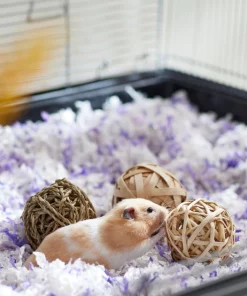 Frisco Trio Balls Small Pet Chew Toys 7 Frisco Trio Balls Small Pet Chew Toys -The Frisco Store 330885 PT2. SY630 V1647530230