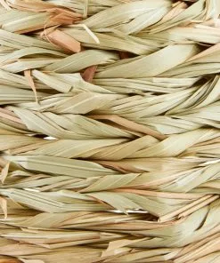 Frisco Tent Small Pet Hideout -The Frisco Store 330896 PT2. SY630 V1646947924