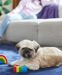 Frisco Pride Rainbow & Heart Latex Squeaky Dog Toy, 2 count -The Frisco Store 331632 PT3. SY630 V1647355825