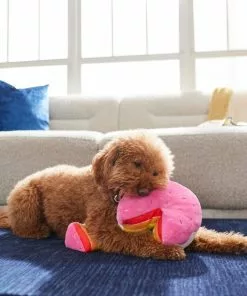 Frisco Pride Cake Plush Squeaky Dog Toy, 2 count -The Frisco Store 331636 PT3. SY630 V1647355871