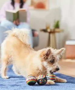 Frisco Pride Squeaking Tennis Ball Dog Toy, 3 count -The Frisco Store 331644 PT3. SY630 V1647355895