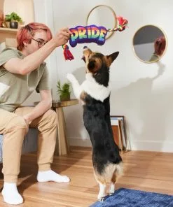 Frisco Pride Plush with Rope Squeaky Dog Toy 7 Frisco Pride Plush with Rope Squeaky Dog Toy -The Frisco Store 331661 PT3. SY630 V1647356002