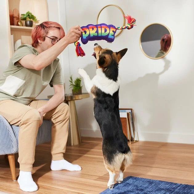 Frisco Pride Plush with Rope Squeaky Dog Toy 5 Frisco Pride Plush with Rope Squeaky Dog Toy - Image 3