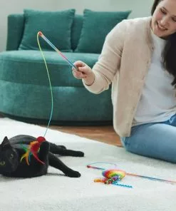 Frisco Pride Teaser Wand Cat Toy with Catnip, 2 count -The Frisco Store 331682 PT3. SY630 V1647355648