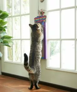 Frisco Pride Rainbow Hanging Cat Scratcher Toy with Catnip -The Frisco Store 331686 PT3. SY630 V1647355633