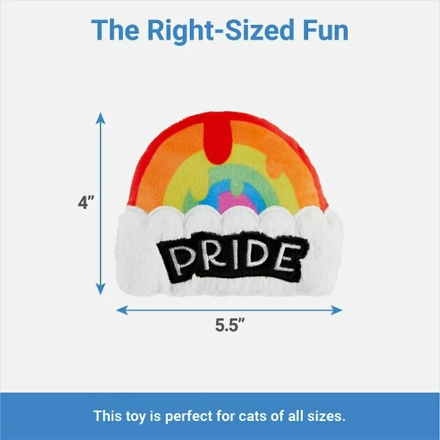 Frisco Pride Rainbow Plush Cat Toy with Silvervine 4 Frisco Pride Rainbow Plush Cat Toy with Silvervine - Image 2