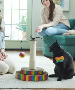 Frisco Pride Interactive Cat Scratcher Toy with Catnip 9 Frisco Pride Interactive Cat Scratcher Toy with Catnip -The Frisco Store 331692 PT3. SY630 V1647355666