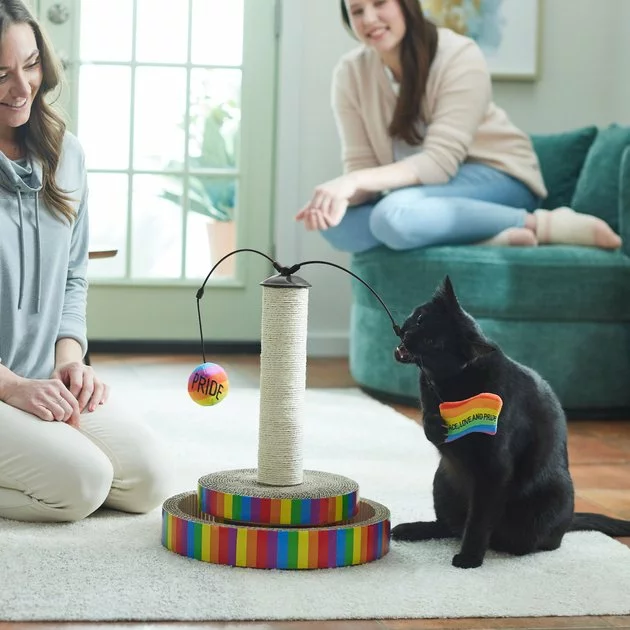 Frisco Pride Interactive Cat Scratcher Toy with Catnip 6 Frisco Pride Interactive Cat Scratcher Toy with Catnip - Image 4