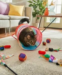 Frisco Pride Plush, Teaser, Ball, Tunnel Variety Pack Cat Toy with Catnip, 10 count 11 Frisco Pride Plush, Teaser, Ball, Tunnel Variety Pack Cat Toy with Catnip, 10 count -The Frisco Store 331696 PT4. SY630 V1649086673