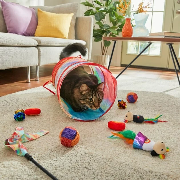 Frisco Pride Plush, Teaser, Ball, Tunnel Variety Pack Cat Toy with Catnip, 10 count 7 Frisco Pride Plush, Teaser, Ball, Tunnel Variety Pack Cat Toy with Catnip, 10 count - Image 5