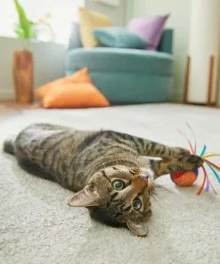 Frisco Pride Rainbow Sisal Ball Cat Toy 7 Frisco Pride Rainbow Sisal Ball Cat Toy -The Frisco Store 331700 PT3. SY630 V1647355727