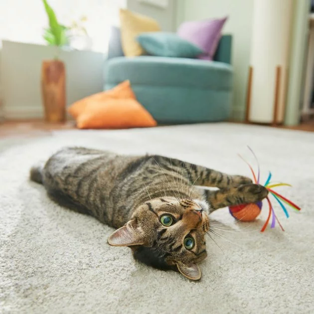 Frisco Pride Rainbow Sisal Ball Cat Toy 5 Frisco Pride Rainbow Sisal Ball Cat Toy - Image 3