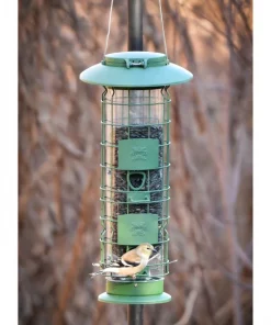 Frisco Squirrel Defense Wild Bird Feeder -The Frisco Store 333277 PT4. SY630 V1646664996