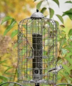 Frisco Ultra Squirrel Defense Wild Bird Feeder 8 Frisco Ultra Squirrel Defense Wild Bird Feeder -The Frisco Store 333281 PT3. SY630 V1646665002