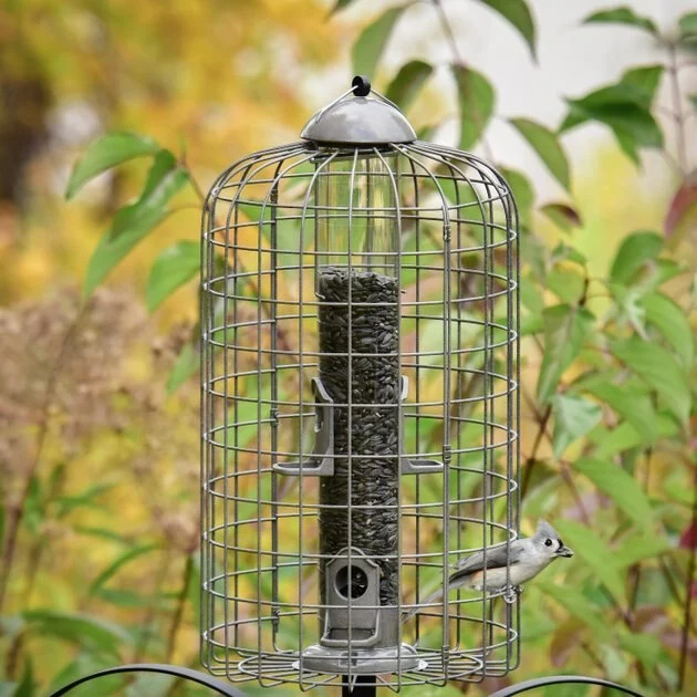 Frisco Ultra Squirrel Defense Wild Bird Feeder 5 Frisco Ultra Squirrel Defense Wild Bird Feeder - Image 4