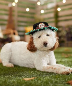 Frisco Day of the Dead Dog & Cat Hat 11 Frisco Day of the Dead Dog & Cat Hat -The Frisco Store 334496 PT6. SY630 V1657719482