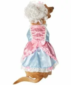 Frisco 18th Century Dog & Cat Dress Costume -The Frisco Store 334767 PT3. SY630 V1658368065